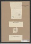 Hyalodiscus radiatus var. arcticus Grun. (de-Toni-Nr.: Genus 219, Species 5497) Zeichnungen Sammlung Grunow Nr. 9447 (NHMW-BOT-W0379304)